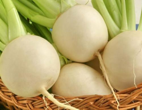 Сорта репы без горечи. Лучшие сорта репы для теплицы