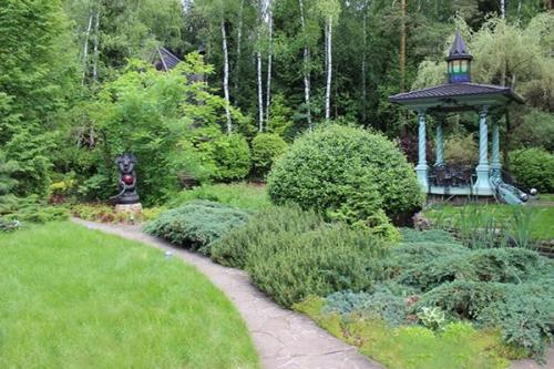 Особенности выращивания и размножения можжевельника казацкого