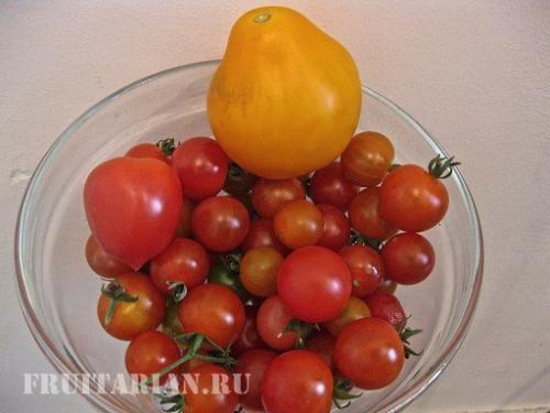 Вред пасленовых миф. Помидоры не вредны!