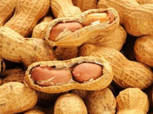 Арахис чем полезен. Арахис: польза, вред и нормы при ежедневном употреблении