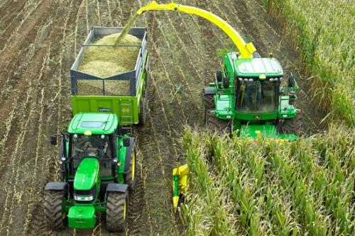 Сахарная кукуруза краснодарские сорта. 1 Краткий обзор сортов кукурузы