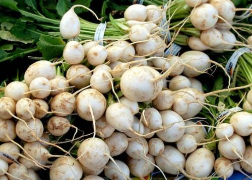 Сорта репы без горечи. Лучшие сорта репы для теплицы