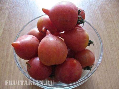 Вред пасленовых миф. Помидоры не вредны!