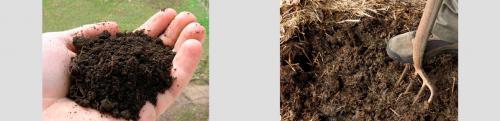 Что лучше навоз или перегной. Удобрения из перегноя