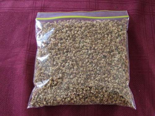 Лучшие сорта кормовой свеклы для Подмосковья открытый грунт. Семена свеклы: лучшие сорта для открытого грунта на Урале и в Подмосковье