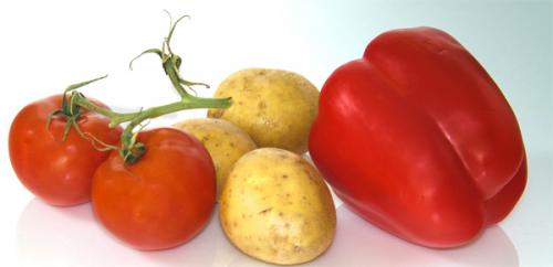 Пасленовые и артрит. Что такое паслёновые?