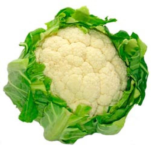 Цветная капуста строение. Капуста цветная: описание и полезные свойства