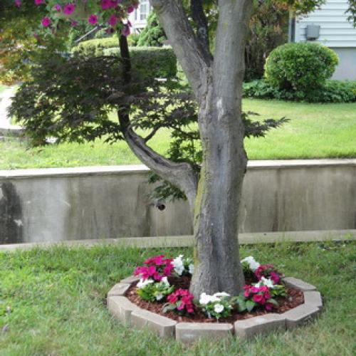 Герань садовая красно-бурая. Садовая герань в ландшафтном дизайне участка (с фото)