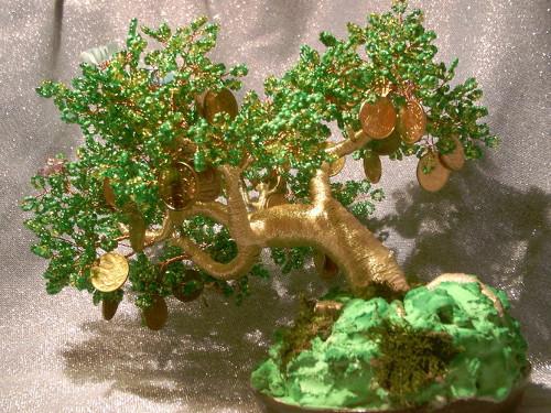 Денежное дерево плачет. Денежное дерево: приметы и суеверия