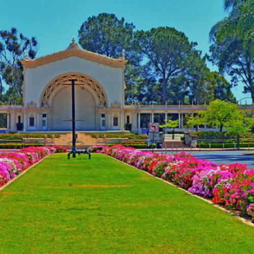 Герань садовая красно-бурая. Садовая герань в ландшафтном дизайне участка (с фото)