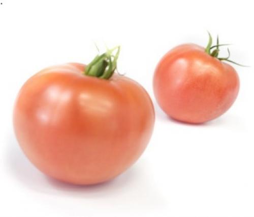 Помидоры сорт Тивай. Томат индетерминантный розовый Тивай 12 F1 3 семян Нидерланды