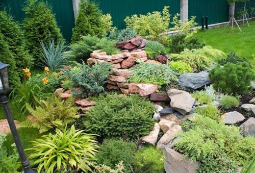 Горные сосны пересадка осенью. Вынужденная пересадка