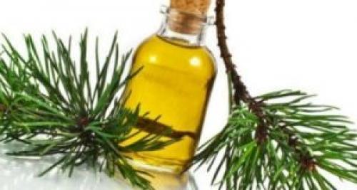 Грибок на пихте. Лечение запущенной формы грибка ногтей пихтовым маслом: отзывы о применении