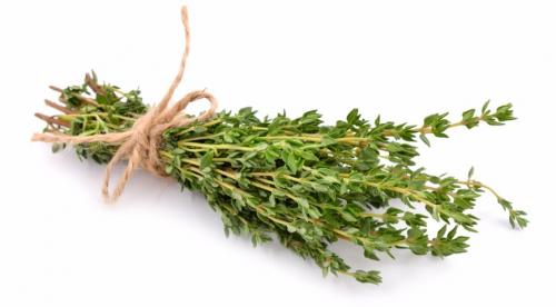 Чабер розмарин. Как правильно использовать пряные травы