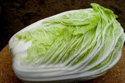 Описание и выращивание лучших сортов пекинской капусты