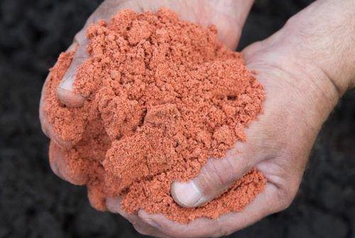 Комнатный лимон сбрасывает листья причина. Истощение грунта