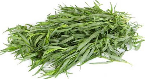 Чабер перечный аромат.