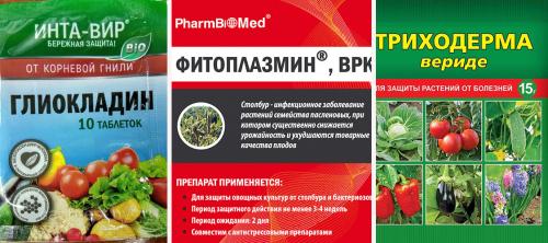 Обеззараживание почвы перед посевом семян. Характеристика и механизм действия