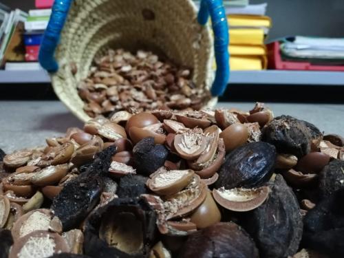 Аргановое масло, как отличить подделку. Как получают аргановое масло