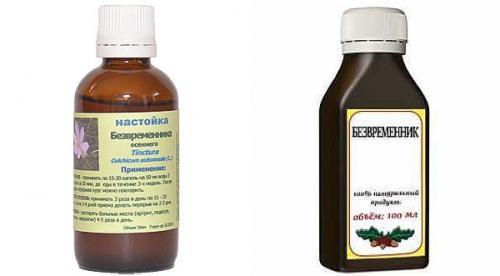 Лечебные свойства безвременника осеннего — когда яд становится лекарством для больных раком