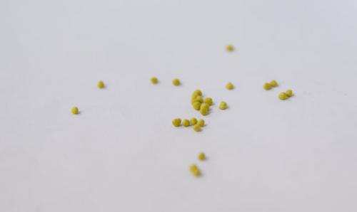 Ожика снежно-белая ЛЮЦИУС. Посев декоративных злаков (Ситник, Ожика, Булавоносец)