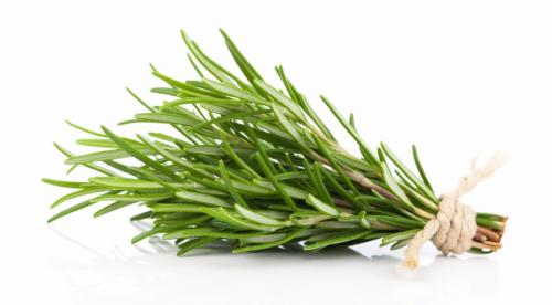 Чабер розмарин. Как правильно использовать пряные травы
