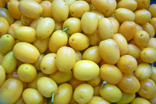 Кизил Джолико. Знакомство с доступной экзотикой