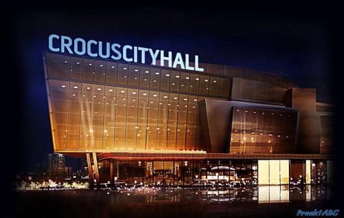 Как вырастить крокусы из семян дома. Крокусы - посадка и уход