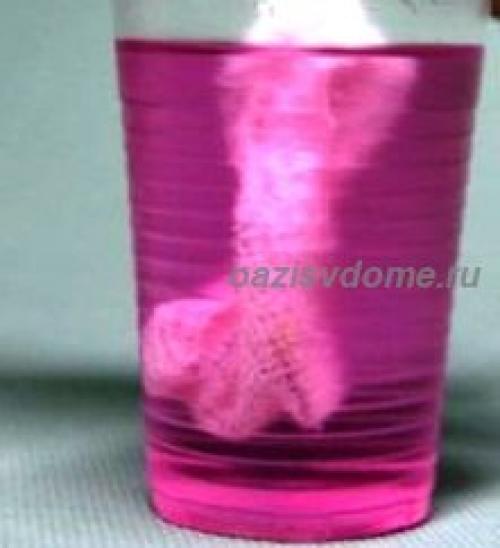 Обеззараживание семян хлоргексидином. Обеззараживание семян томатов