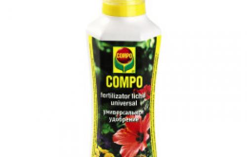 Почему желтеют листья у молочая Миля. Почему у молочая иногда желтеют листья?