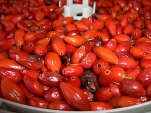 Как сушить яблоки в духовке электрической духовке. Сухофрукты из духовки, либо как верно высушить яблоки? 05