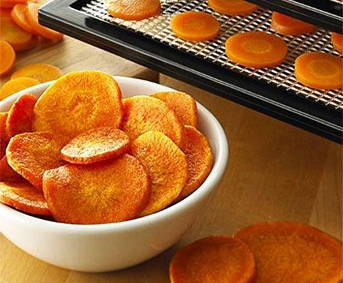 Сушка ягод в духовке с конвекцией. Как и сколько сушить ягоды, плоды шиповника в электросушилке?