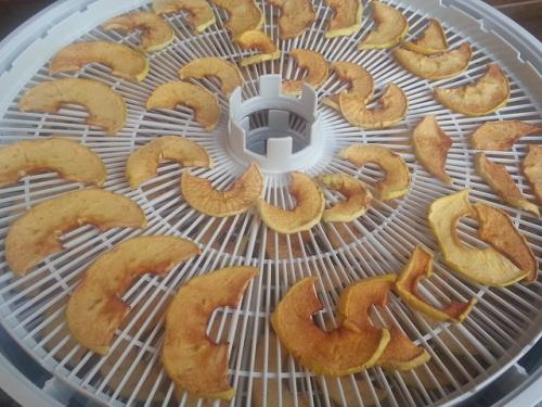 Сушка яблок в электросушилке. Сушка яблок: подробная инструкция 14