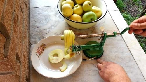 Сушка яблок в электросушилке. Сушка яблок: подробная инструкция 09