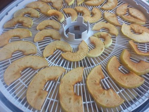 Сушка яблок в электросушилке. Сушка яблок: подробная инструкция 12