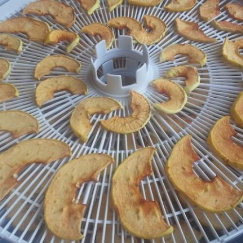 Сушка яблок в сушилке изидри. Сушеные яблоки