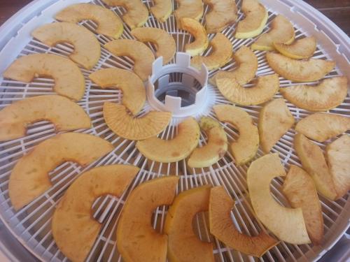 Сушка яблок в электросушилке. Сушка яблок: подробная инструкция 11