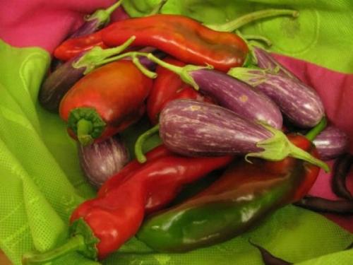 Горький перец на зиму через мясорубку. Заготовка горького перца на зиму: различные рецепты