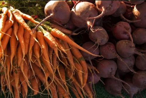 Как хранить морковку в погребе на зиму. Методы хранения моркови и свеклы зимой