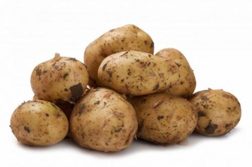 Картофель гала описание. Описание и характеристика сорта