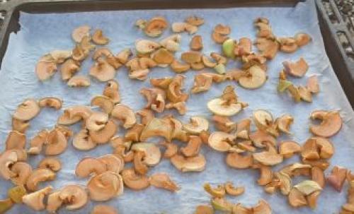 Как сушить яблоки над газовой плитой. Как высушить яблоки в духовке