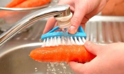 Хранение мытой моркови. Плюсы и минусы сохранения мытого корнеплода