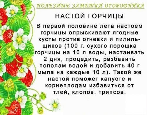 Полезные советы для огородников 01
