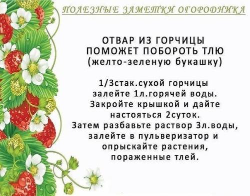 Полезные советы для огородников 09