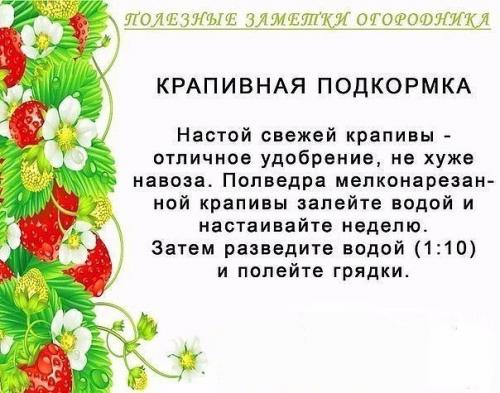 Полезные советы для огородников 05