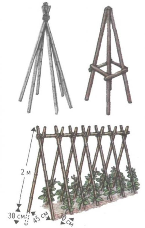 Типы опор для вьющихся растений 05