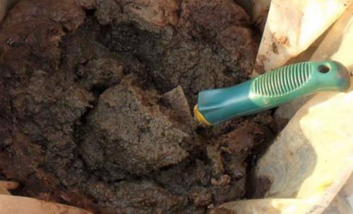 Голубиный помет, как удобрение, как применять. Применение помета 03