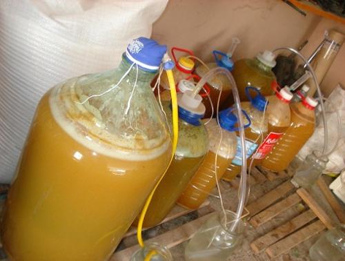 Что делать с неспелым виноградом. Можно ли делать вино из недозревшего винограда 03 Что делать с неспелым виноградом. Можно ли делать вино из недозревшего винограда 03