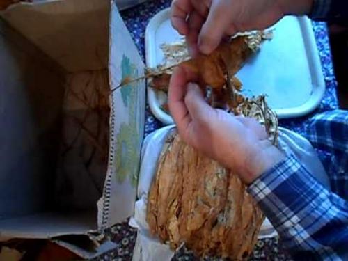 Табак выращивание и уход сушка. Когда собирать урожай и как его сушить? 05 Табак выращивание и уход сушка. Когда собирать урожай и как его сушить? 05