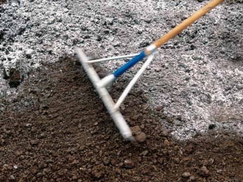 Мох на участке хорошо или плохо. Мох в огороде - чем опасен и как вылечить почву?